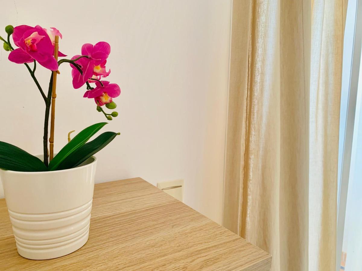 Homely Malaga Parras Con Terraza Interior Y Parking Privado Bajo Suplemento Экстерьер фото
